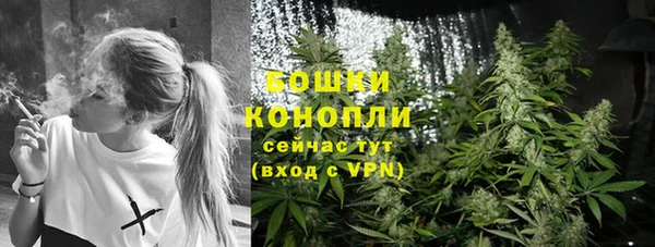каннабис Аркадак