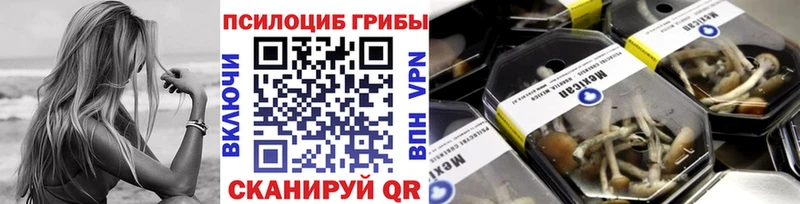 купить закладку  Миньяр  Галлюциногенные грибы Psilocybine cubensis 