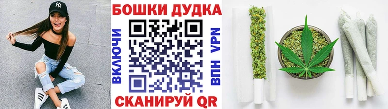 Каннабис индика  Миньяр 